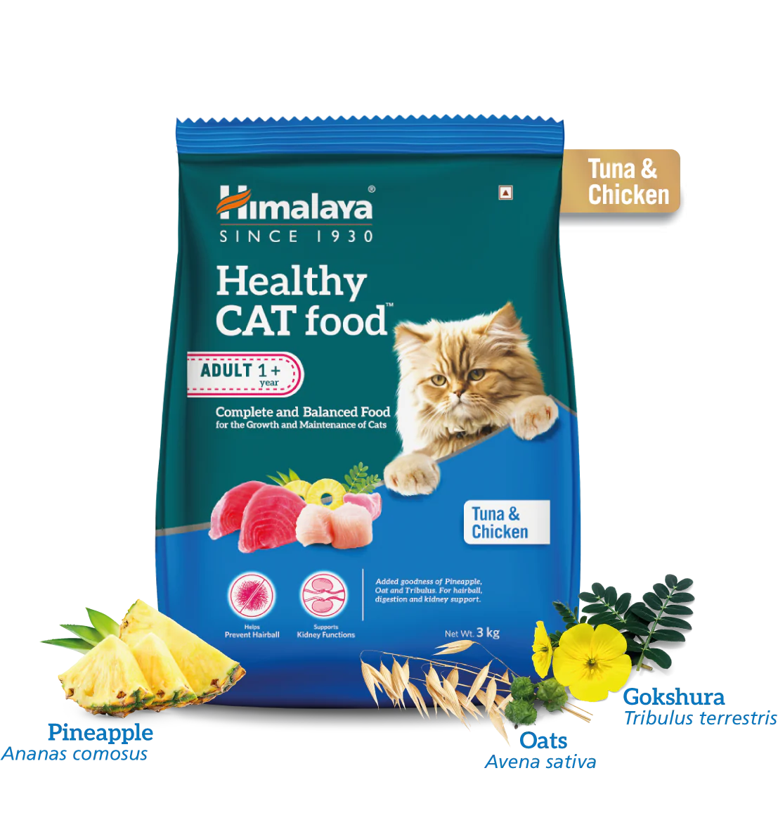 Healthy Cat food Adult(Tuna & Chicken)