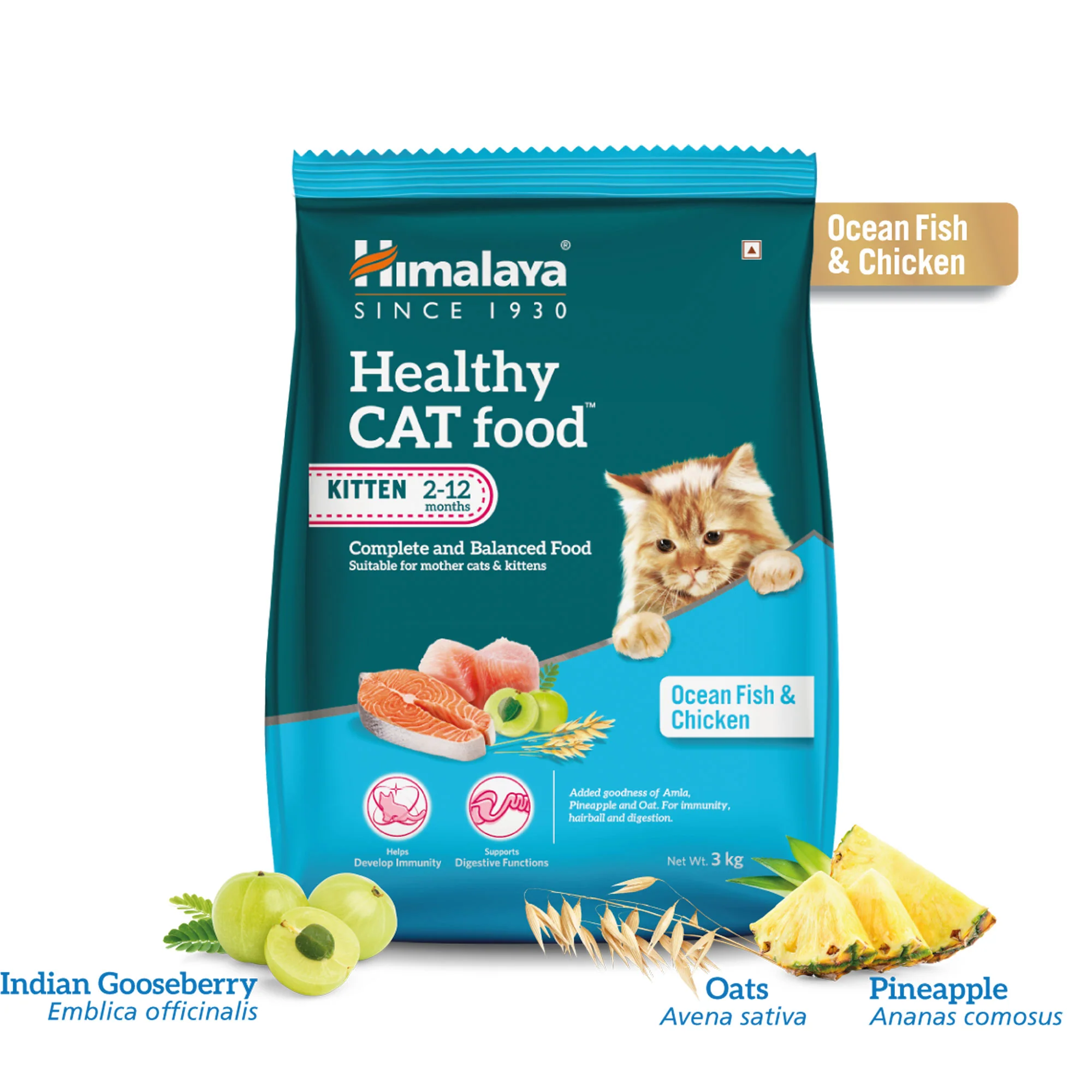 Healthy Cat food KITTEN(Ocean Fish & chicken)